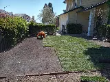 Salas Landscaping LLC photo 2