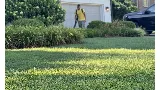 Diversified Lawn and Landscape