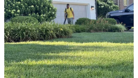Diversified Lawn and Landscape photo 1