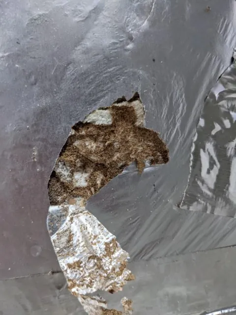 Central Oregon Pest Solutions (COPS) photo 1