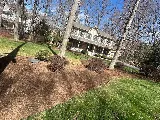 Jose’s Landscaping llc photo 5
