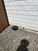 Wild West Pest Control photo 4