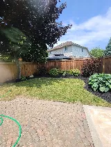 Rozy Landscaping photo 4