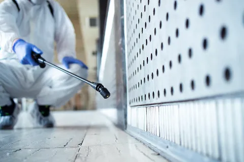 Britex Pest Control in Richmond Hill