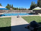 Art Pool and Spa's photo 6