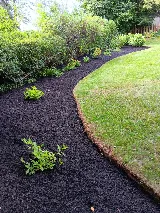 Francisco's Landscaping photo 4