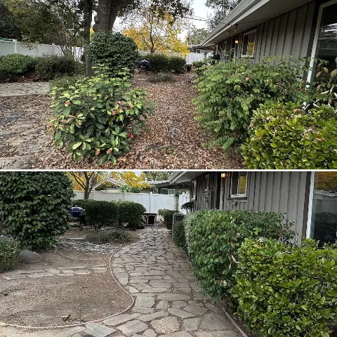 Legacy Lawn Care & Landscaping in Stockton