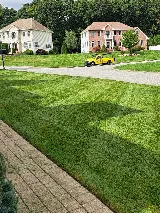 Cut The Grass Landscaping