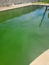 Swim Pools Inc photo 2