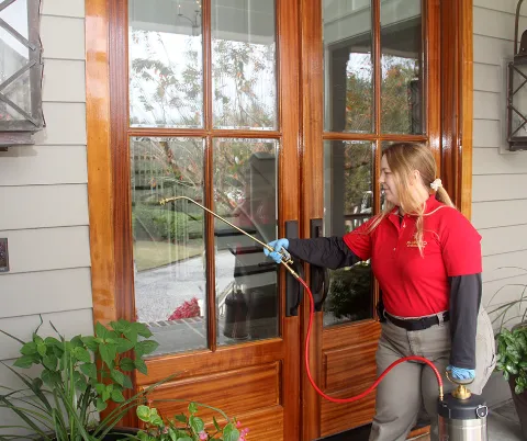 Palmetto Exterminators photo 1