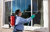 Ray's Pest Control photo 5