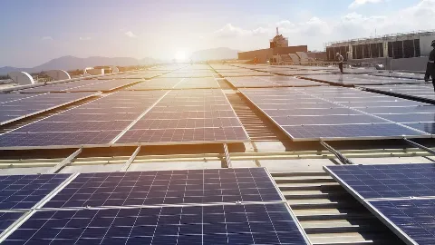 REP Solar in Corona