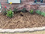 Western Lawn & Landscape LLC photo 5