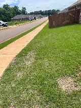 Prime Pest Control photo 4