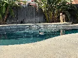 Polished Pool Service LLC photo 4