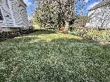 MS Landscape photo 4