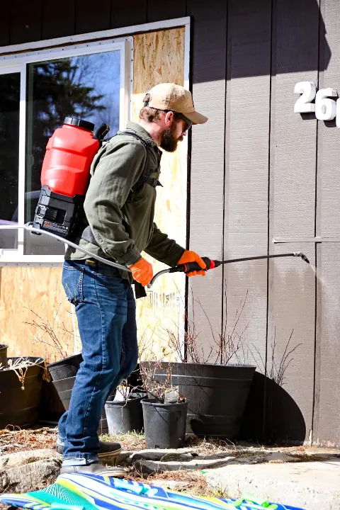 907 Pest Control in Fairbanks