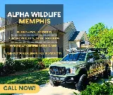 Alpha Wildlife Memphis photo 2