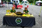 Mosquito Joe of Annapolis photo 6