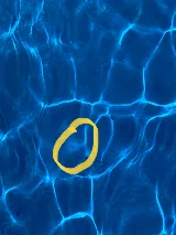 AB Pools LLC photo 5