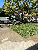 DAMIAN .LANDSCAPING photo 8