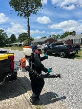 Diamond Exterminators photo 6