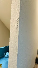 Williams Homes photo 8