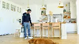 TruForce Pest Control