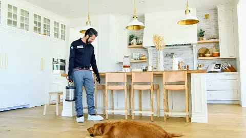 TruForce Pest Control photo 1