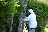 D-Bug Pest Control, Inc. photo 5