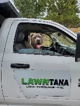 Lawntana photo 5