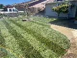 Natural Landscaping photo 6