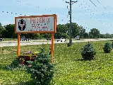 Phoenix Plumbing Inc photo 7