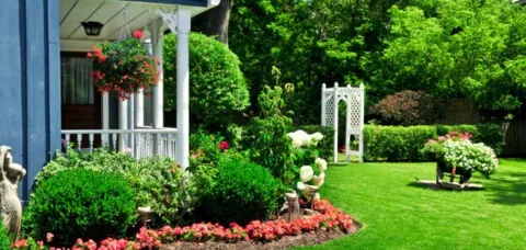 Clean-Cut Lawn Service, INC photo 1