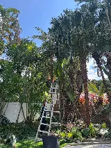 BNB Landscaping photo 3