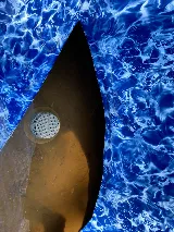 Blue Water Pools- Jackson photo 2