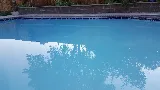 Laguna Pools photo 6