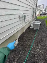 Bulwark Exterminating photo 3
