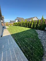 Landscaping/Lawn Care Where The Grass Is Greener