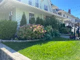 Alex's Landscaping & Design photo 3