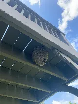 Domtech Pest Control Inc photo 5