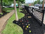 Local Roots Landscaping photo 2
