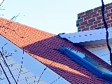 Assurance Pest Solutions photo 5
