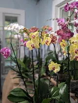 Delray Garden Center photo 6
