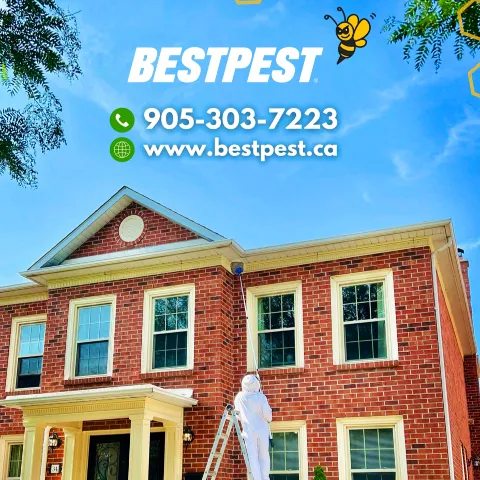 Bestpest Canada - Pest Control Toronto