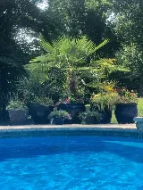 Bakersfield Pool Cleaning Service photo 5