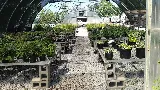 Buckley's Prairie Landscaping photo 7
