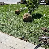 4ever Green Landscaping Services Ltd photo 4
