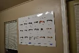 Advantage Pest Control photo 6