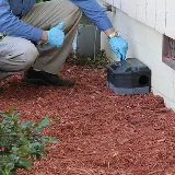 Curry's Termite, Pest & Animal Control photo 2